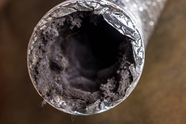 Best Residential Air Duct Cleaning  in Panaca, NV