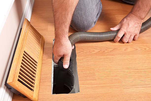 Air Duct Mold Removal in Panaca, NV