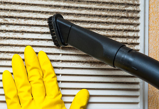 Best Ductwork Cleaning Services  in Panaca, NV